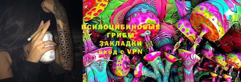 KRAKEN сайт  Прохладный  Галлюциногенные грибы Psilocybe 